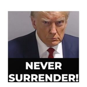 Never Surrender Sticker - Put it Anywhere
