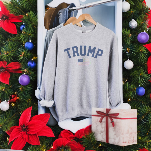 Trump Sweatshirt, Trump 2024, Pro Trump Sweatshirt, Pro America Shirts