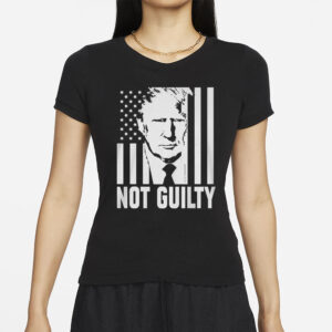 Trump Not Guilty Flag T-Shirt