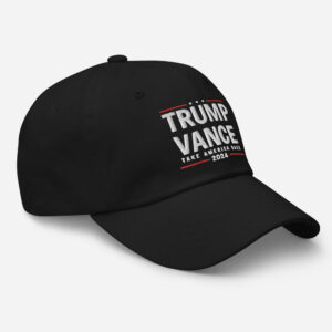 Trump Vance Hat, Trump Vance 2024 Dad Hat, Take America Back Election Day Cap, Make America Great Again on Back, Voting Day Hat